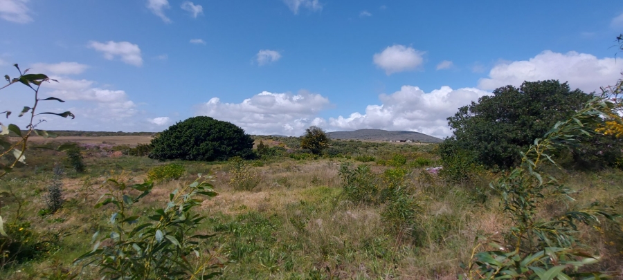 Commercial Property for Sale in Albertinia Western Cape